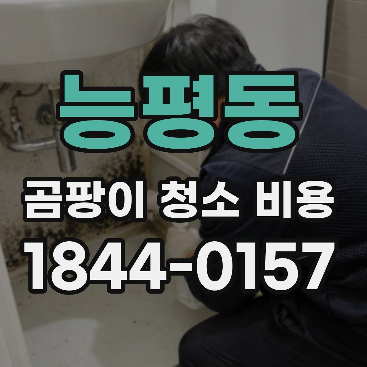 능평동 곰팡이 청소 비용