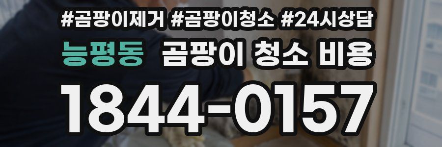 능평동 곰팡이 청소 비용