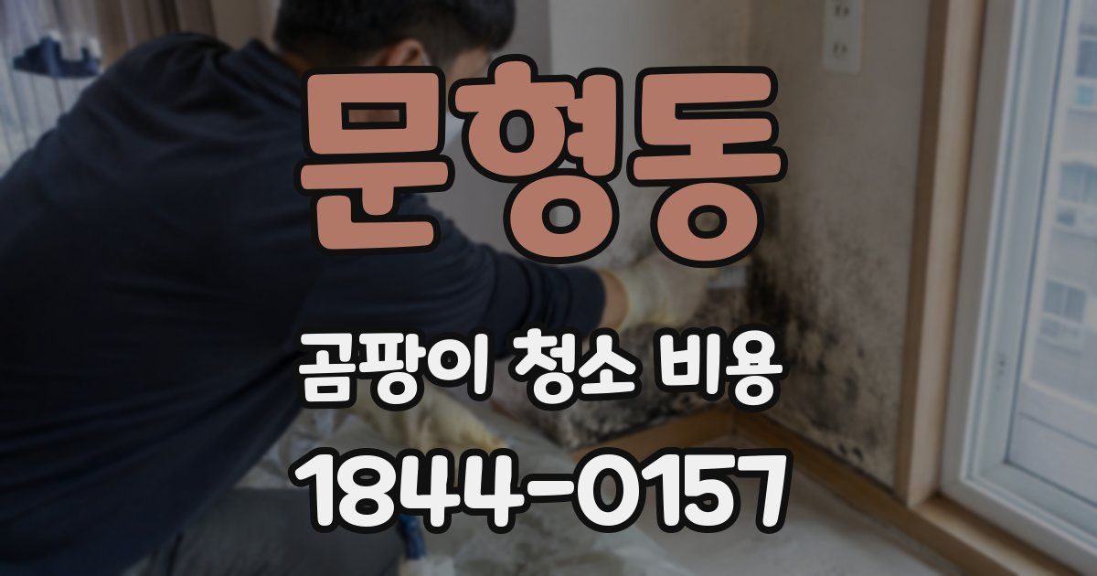 문형동 곰팡이 청소 비용