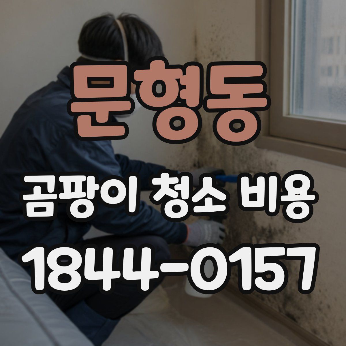 문형동 곰팡이 청소 비용