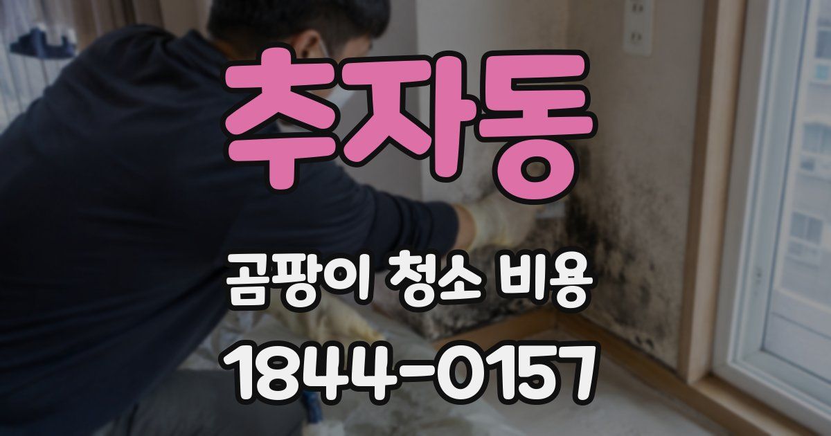 추자동 곰팡이 청소 비용