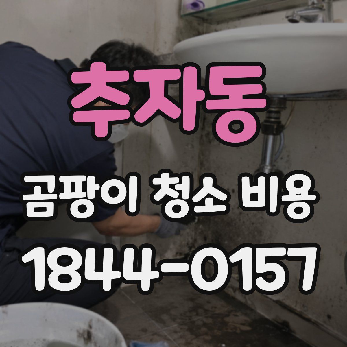 추자동 곰팡이 청소 비용