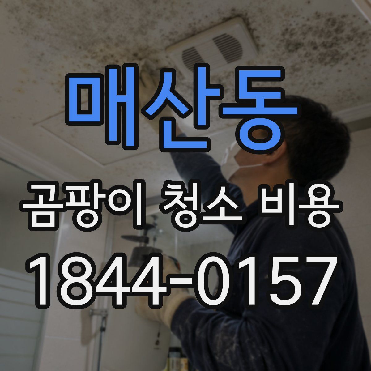 매산동 곰팡이 청소 비용
