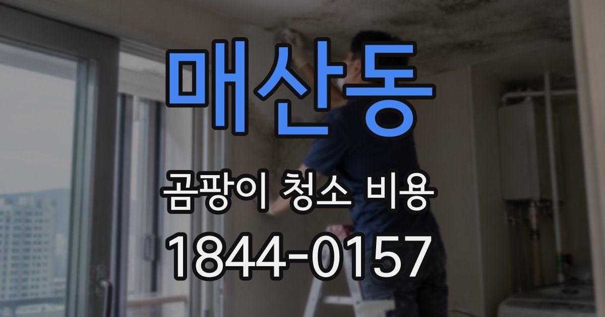 매산동 곰팡이 청소 비용
