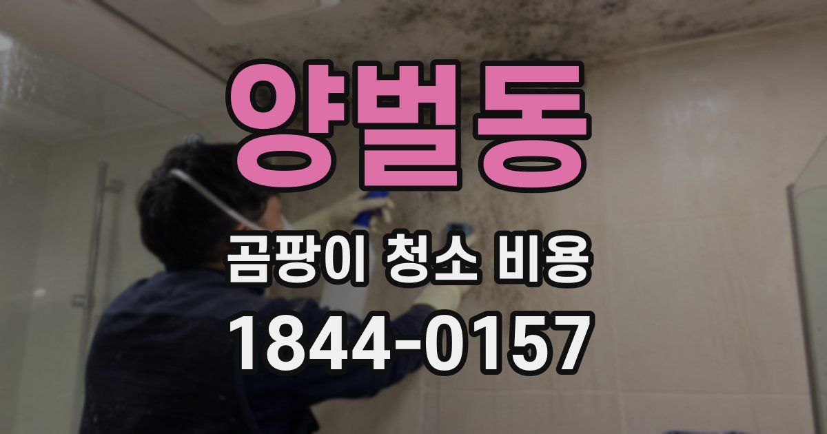 양벌동 곰팡이 청소 비용