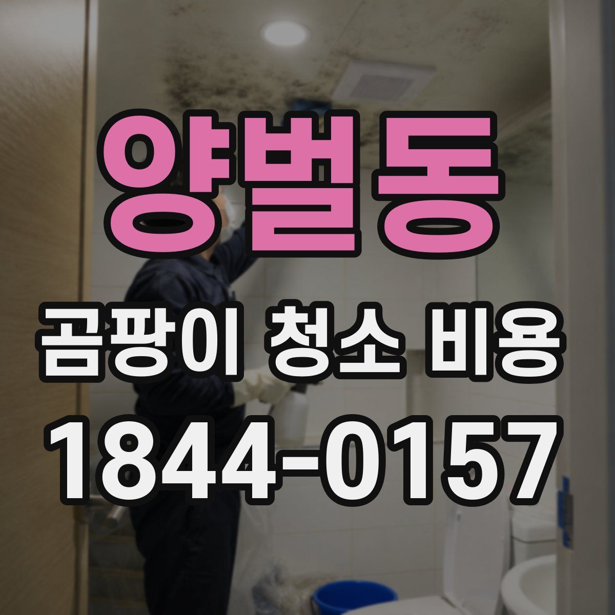 양벌동 곰팡이 청소 비용