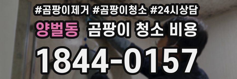 양벌동 곰팡이 청소 비용