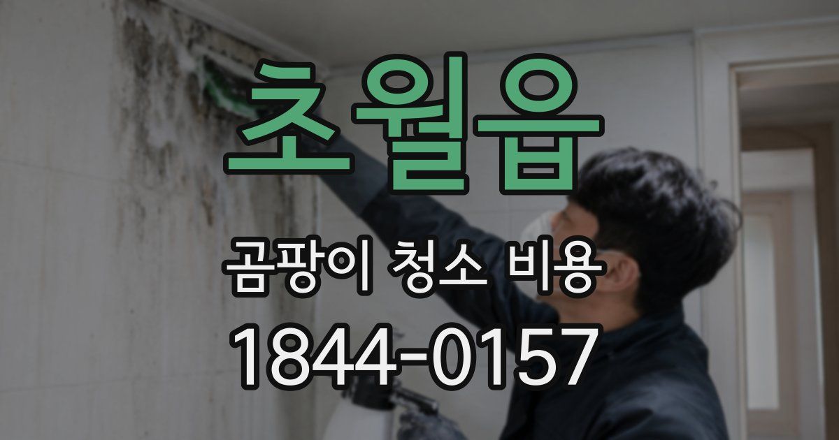 초월읍 곰팡이 청소 비용