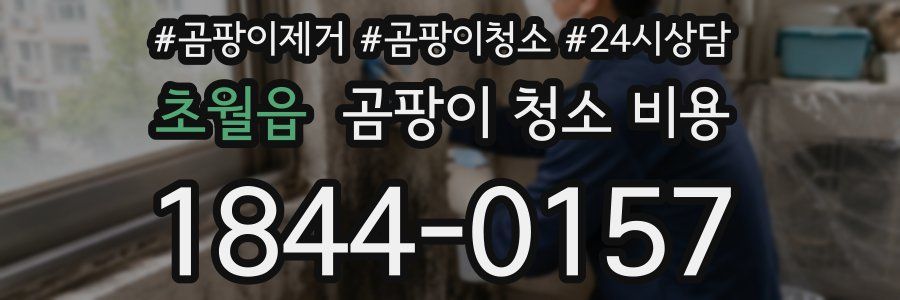 초월읍 곰팡이 청소 비용