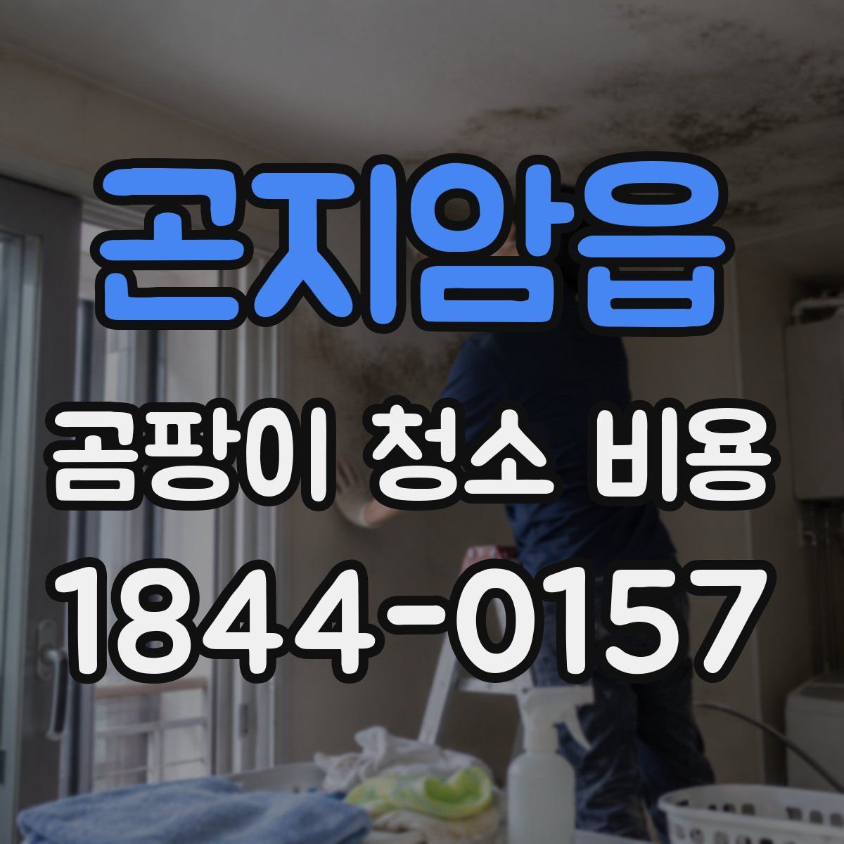 곤지암읍 곰팡이 청소 비용