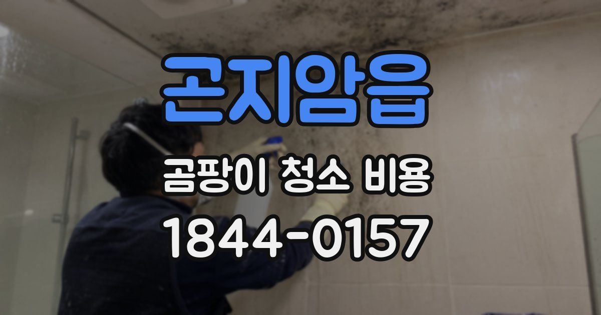 곤지암읍 곰팡이 청소 비용