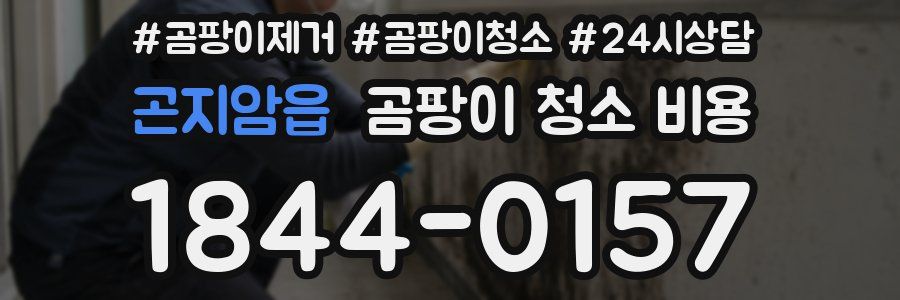 곤지암읍 곰팡이 청소 비용