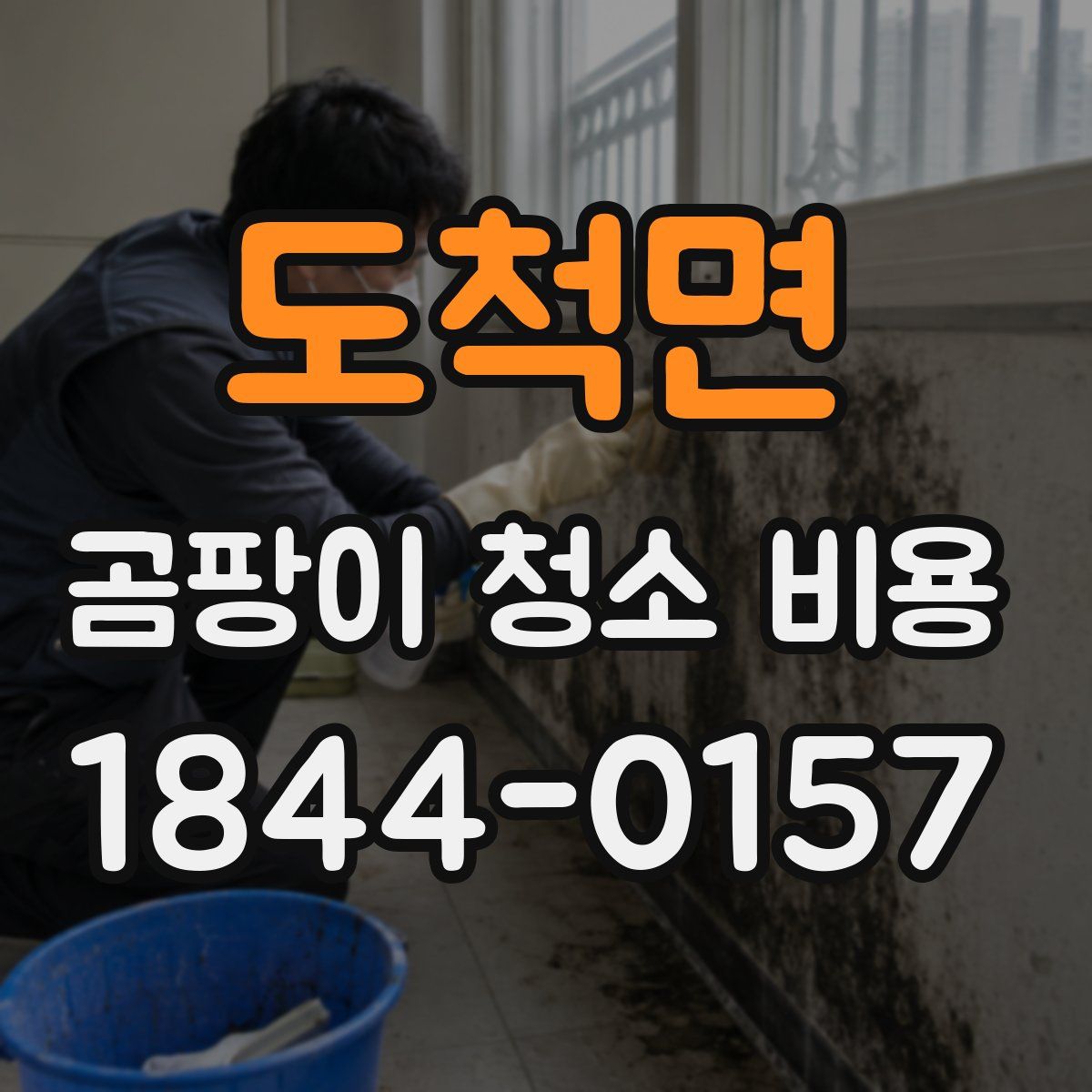도척면 곰팡이 청소 비용