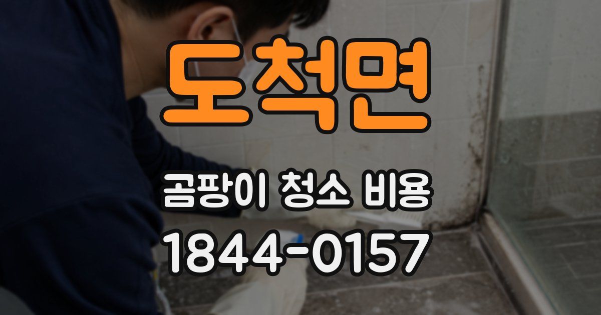 도척면 곰팡이 청소 비용