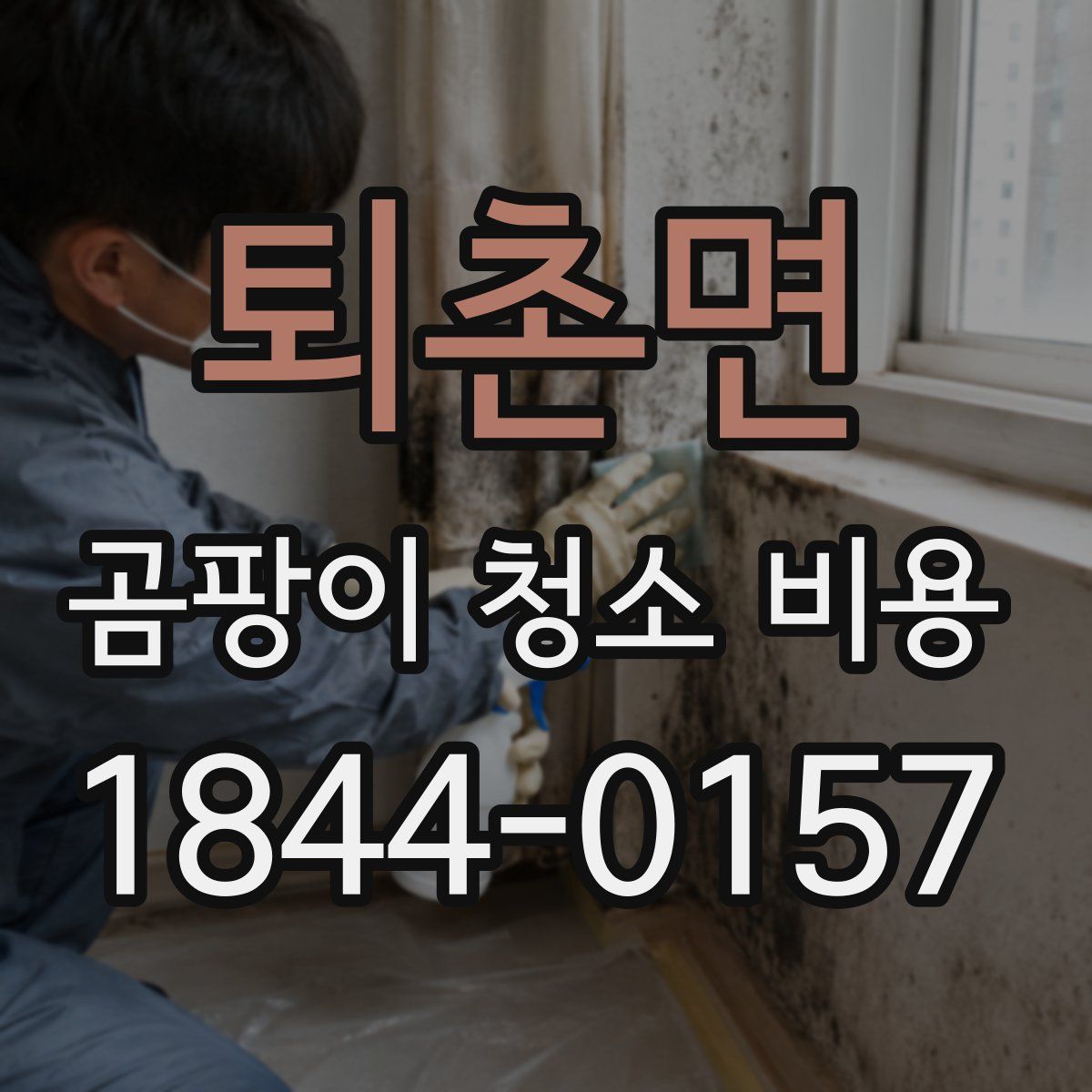 퇴촌면 곰팡이 청소 비용