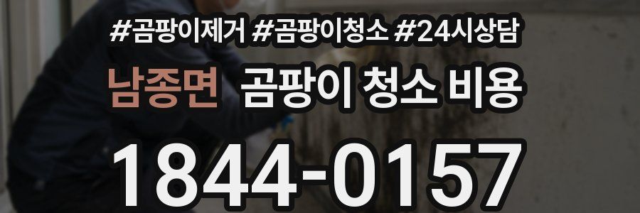 남종면 곰팡이 청소 비용