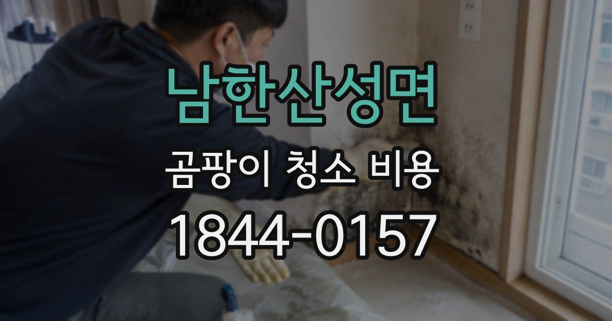 남한산성면 곰팡이 청소 비용