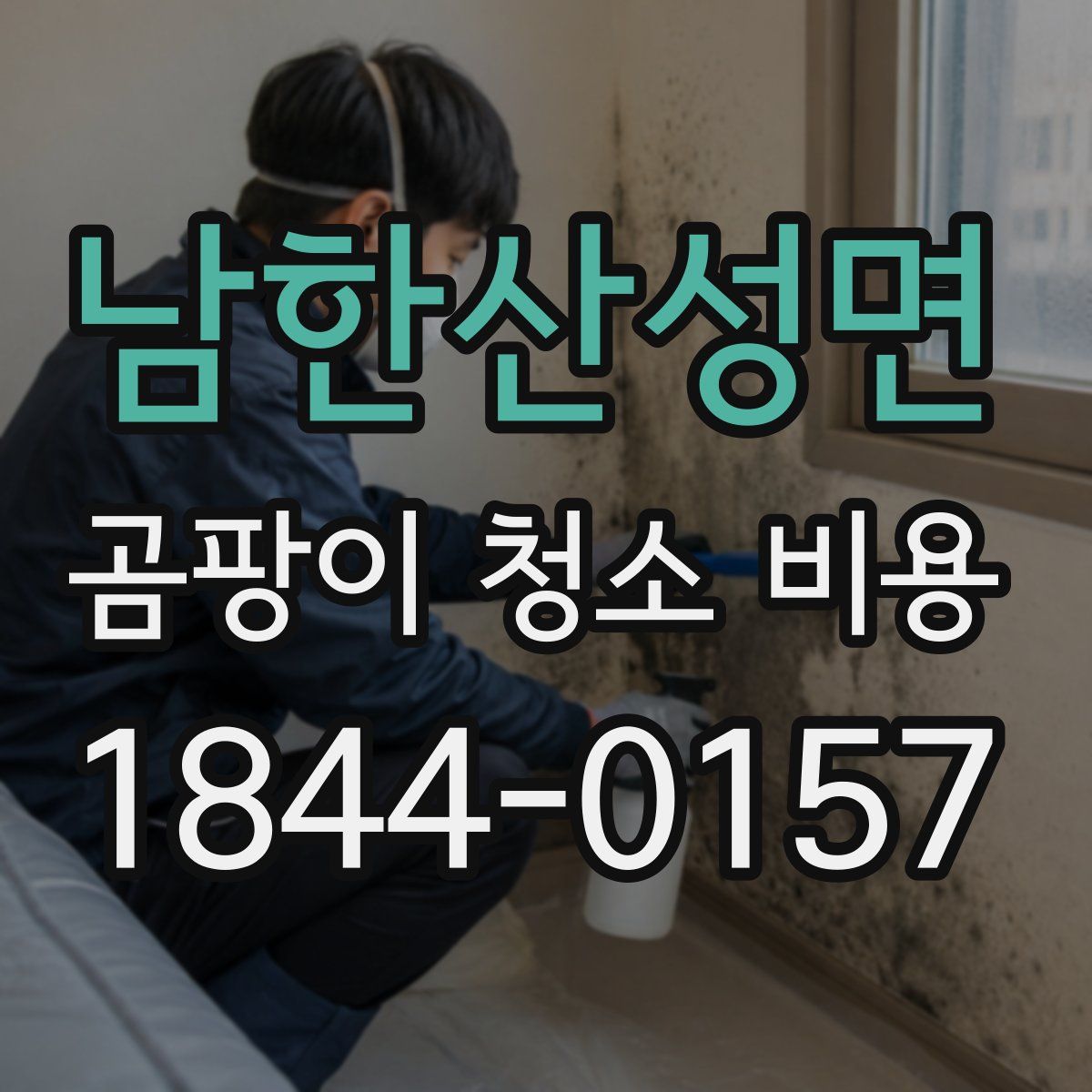 남한산성면 곰팡이 청소 비용