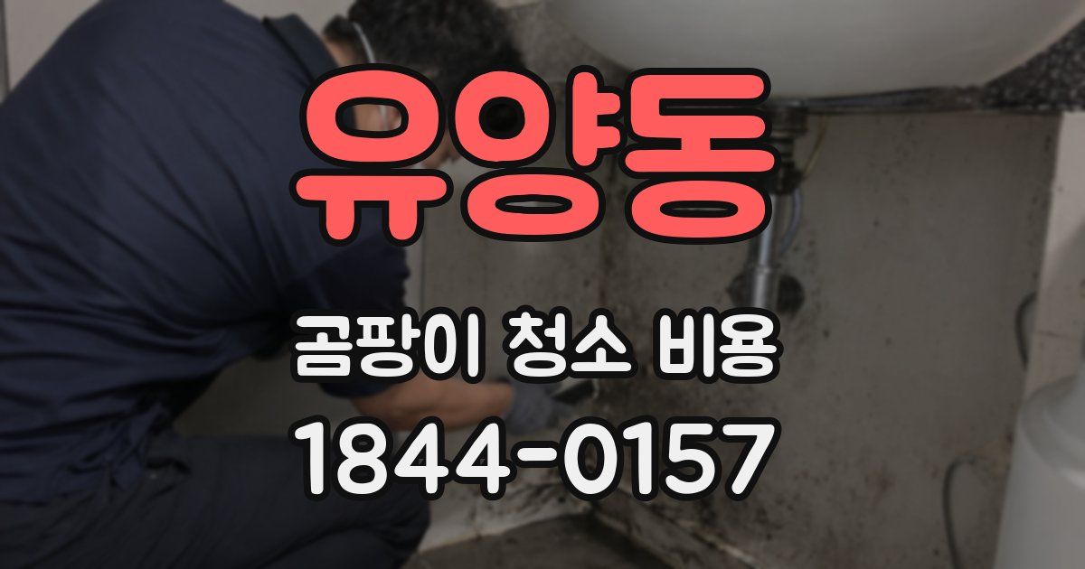 유양동 곰팡이 청소 비용