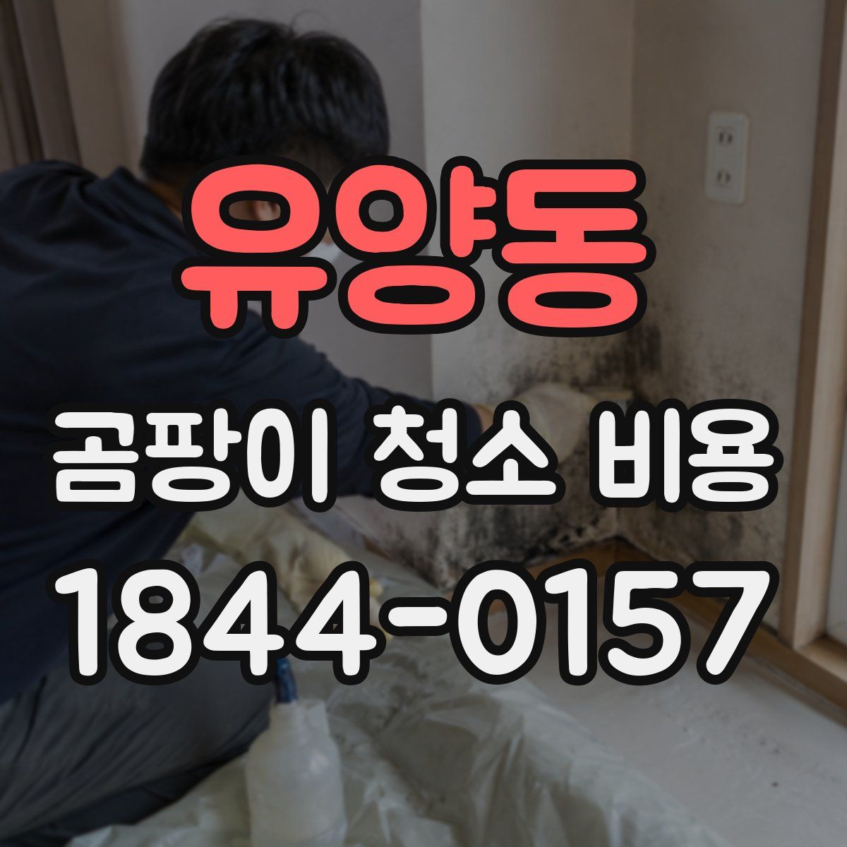 유양동 곰팡이 청소 비용