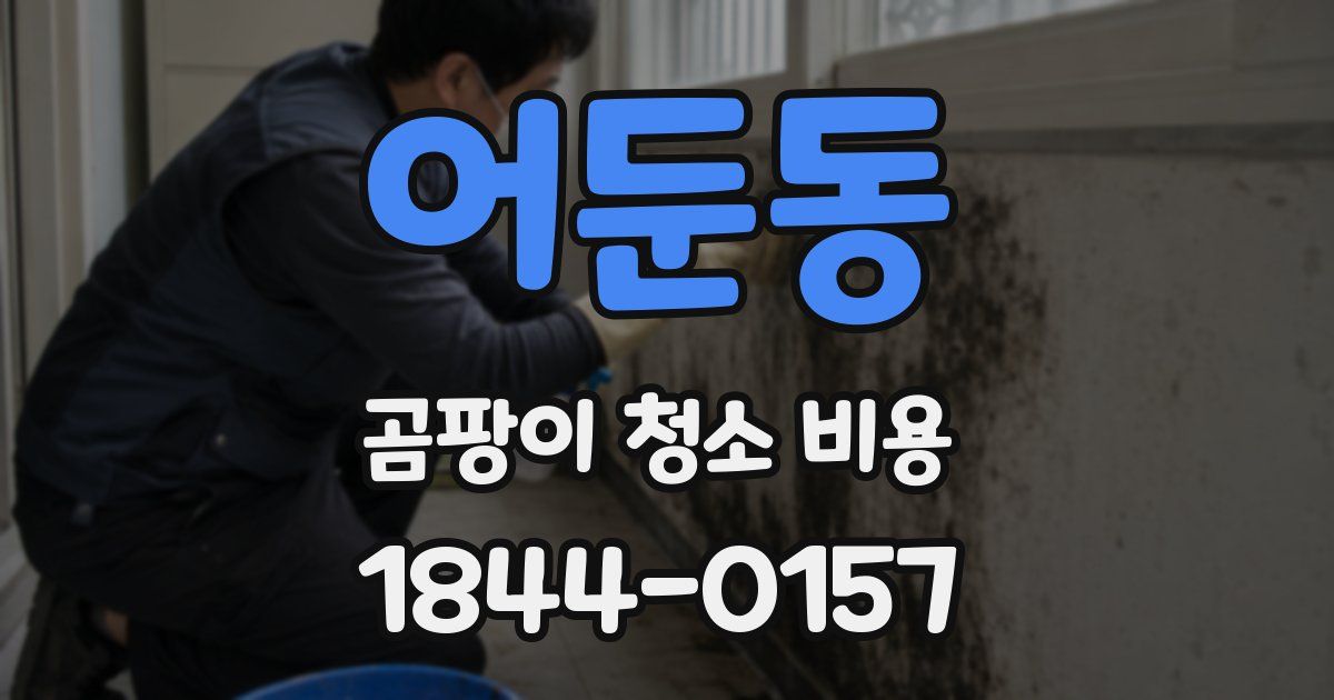어둔동 곰팡이 청소 비용