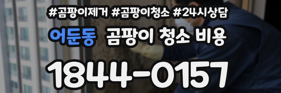 어둔동 곰팡이 청소 비용