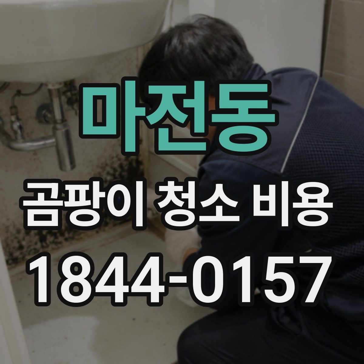 마전동 곰팡이 청소 비용