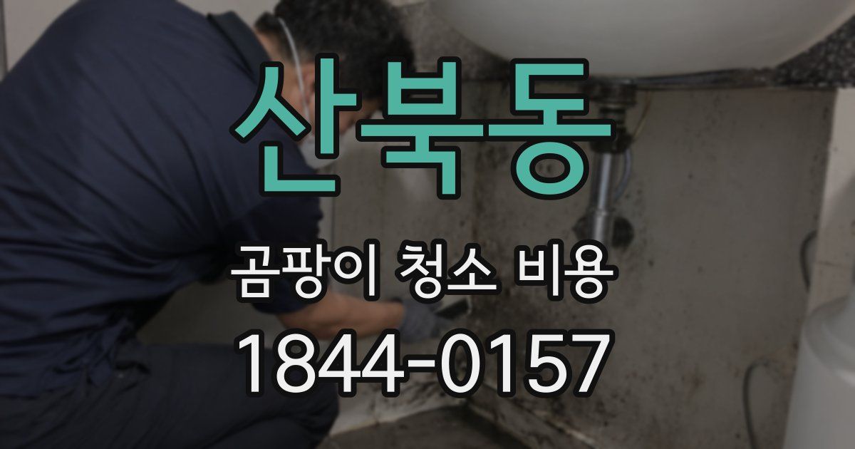 산북동 곰팡이 청소 비용