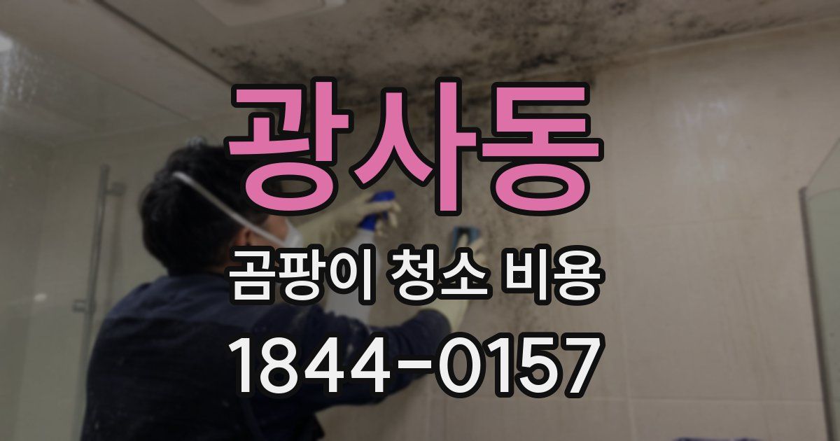 광사동 곰팡이 청소 비용