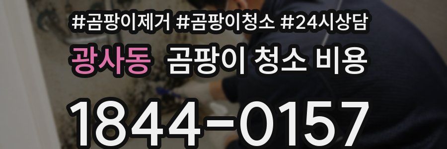 광사동 곰팡이 청소 비용