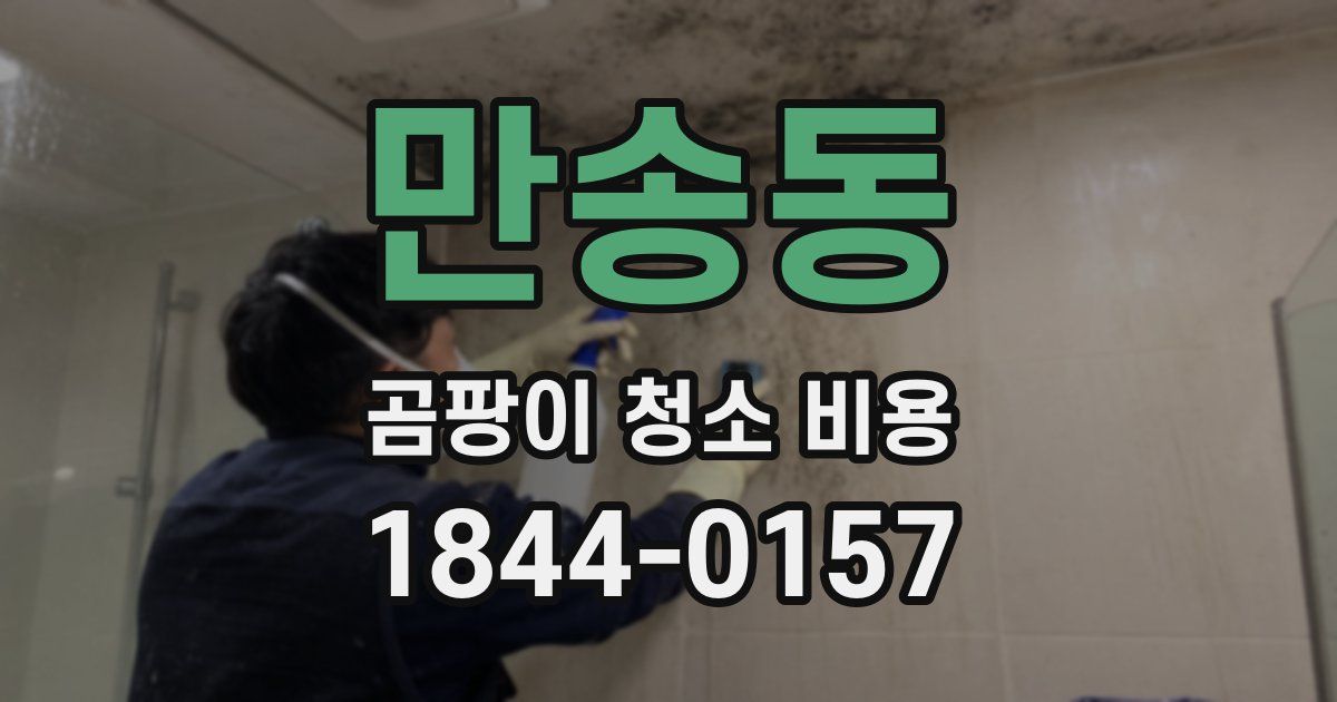 만송동 곰팡이 청소 비용