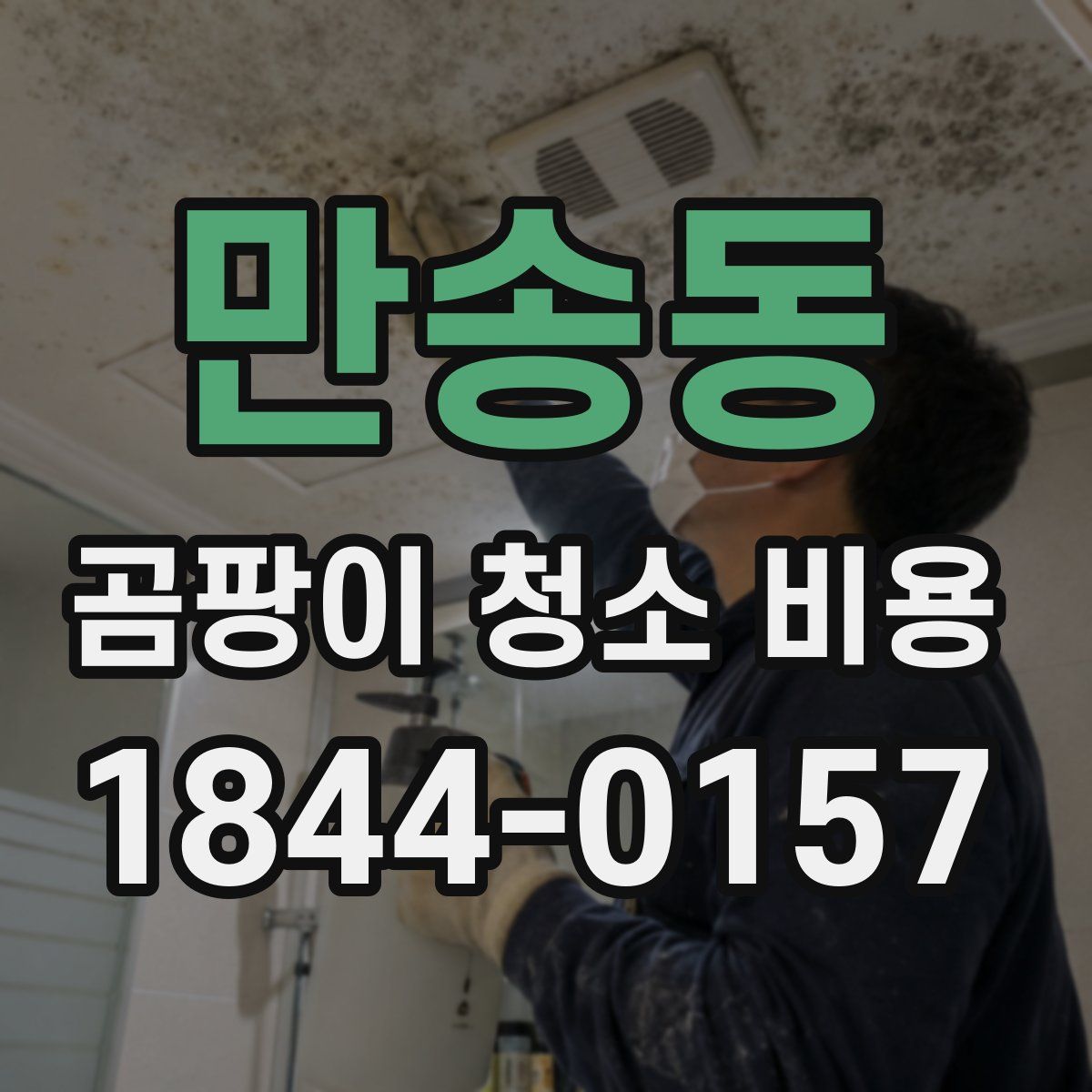 만송동 곰팡이 청소 비용