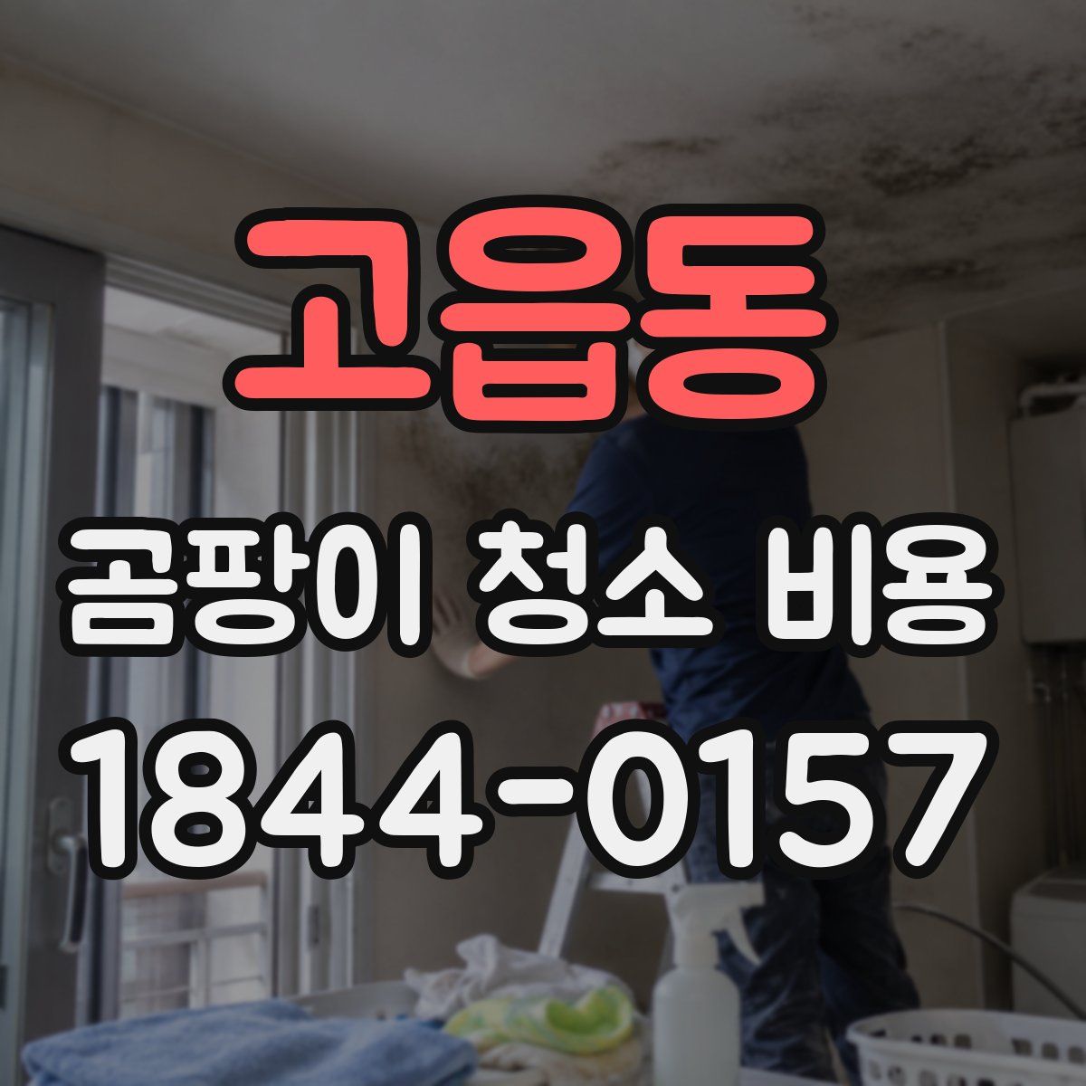 고읍동 곰팡이 청소 비용