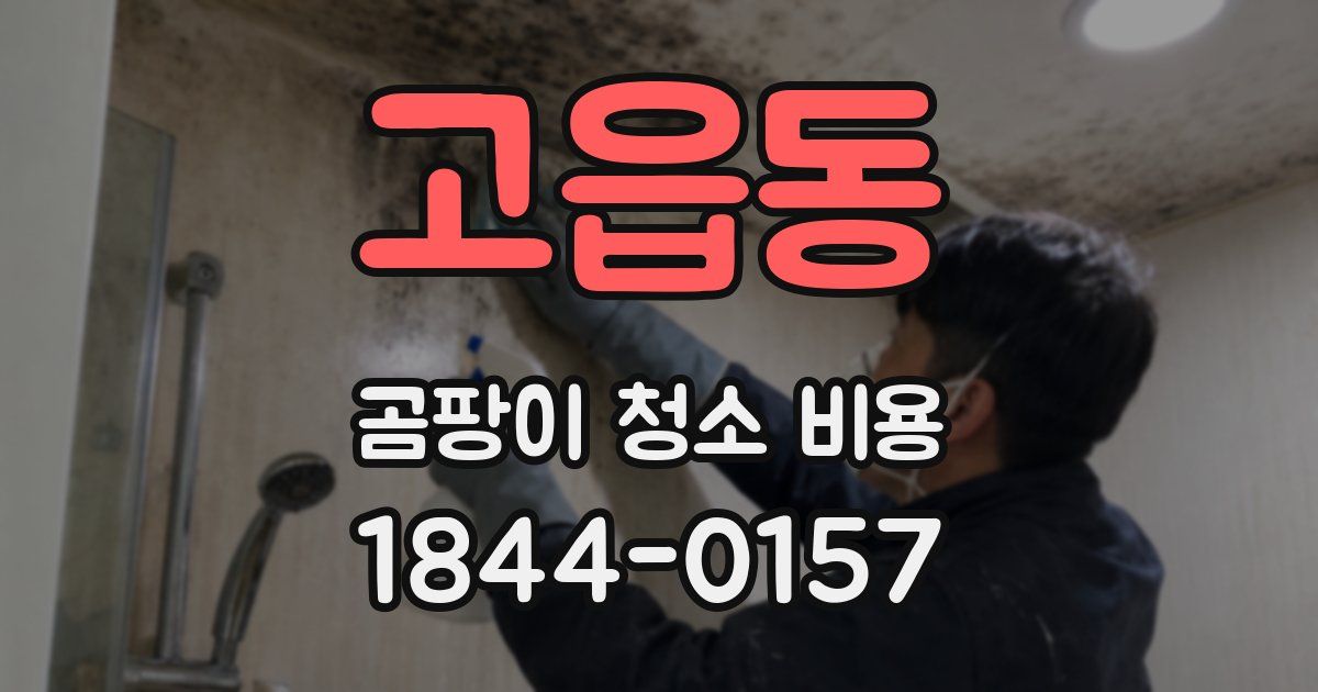 고읍동 곰팡이 청소 비용