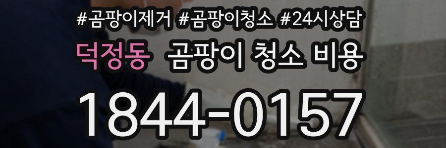덕정동 곰팡이 청소 비용
