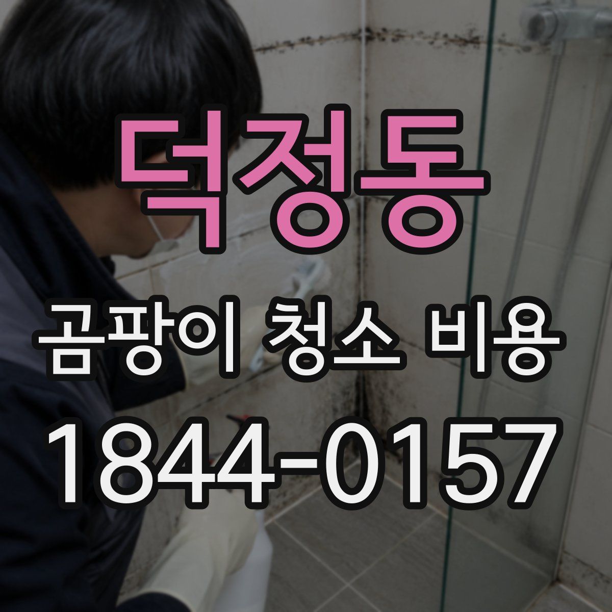 덕정동 곰팡이 청소 비용