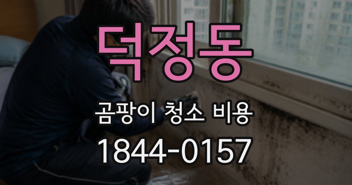 덕정동 곰팡이 청소 비용