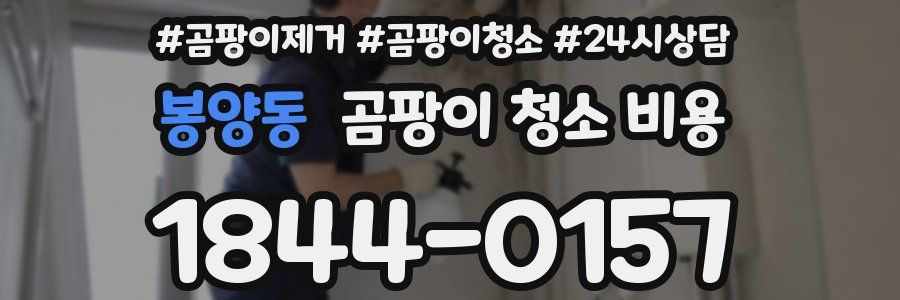 봉양동 곰팡이 청소 비용