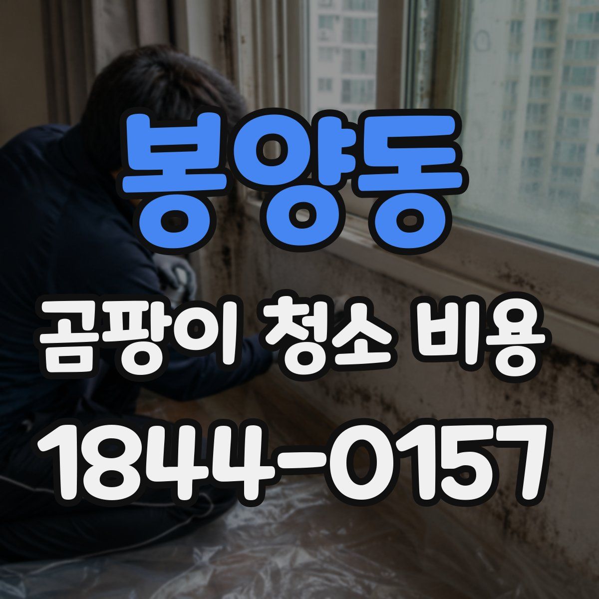 봉양동 곰팡이 청소 비용