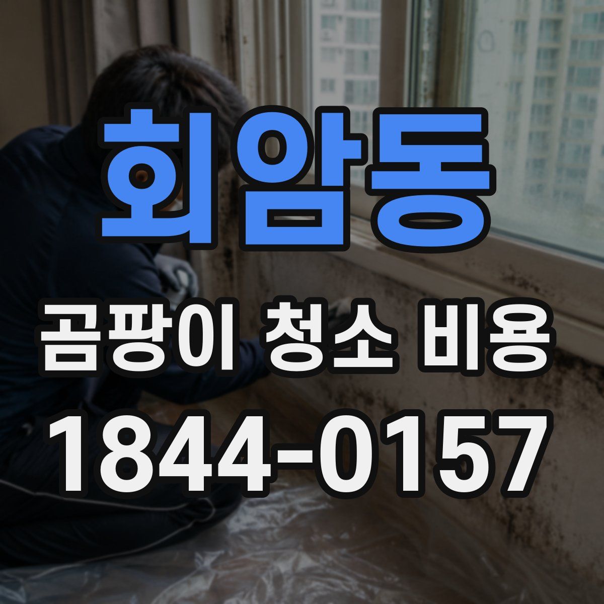 회암동 곰팡이 청소 비용