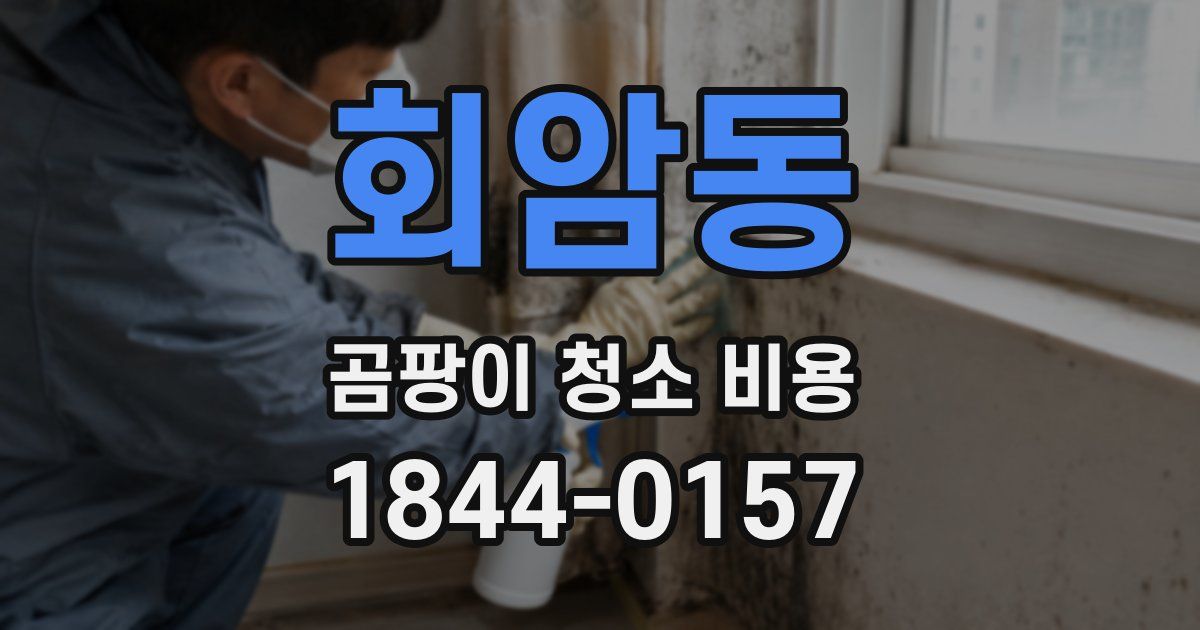 회암동 곰팡이 청소 비용