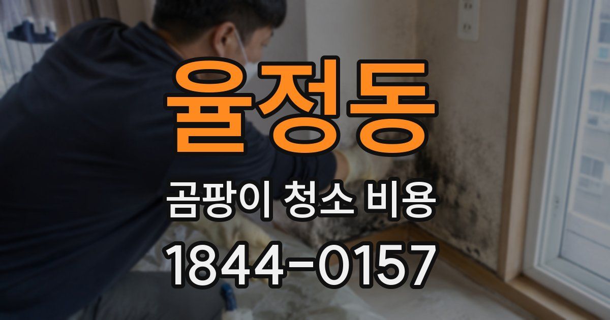 율정동 곰팡이 청소 비용