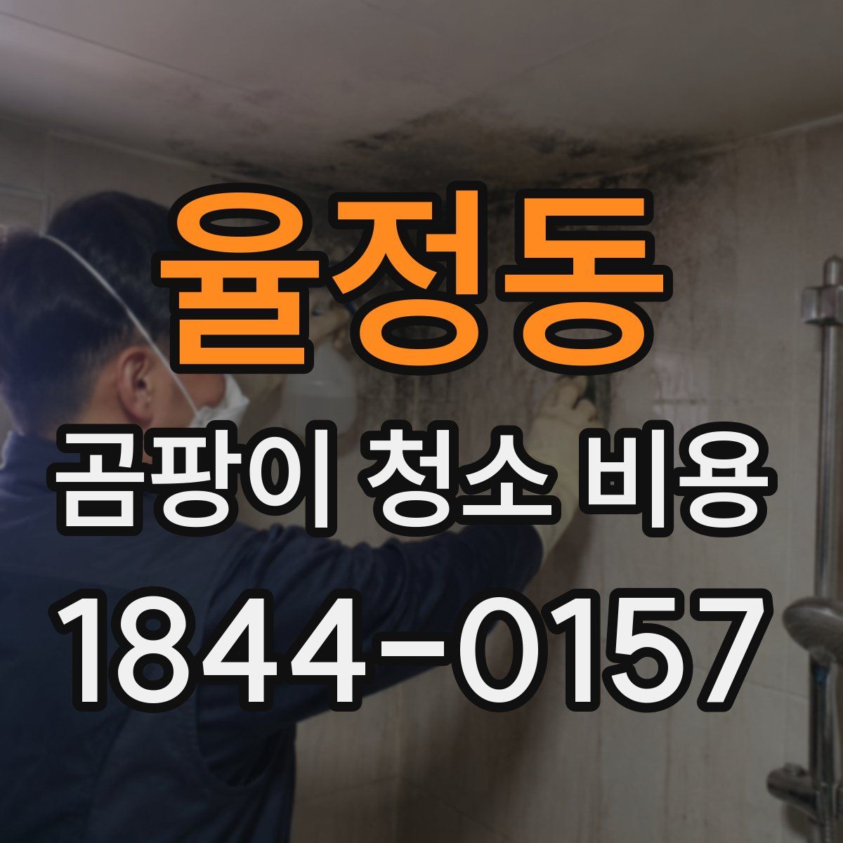 율정동 곰팡이 청소 비용