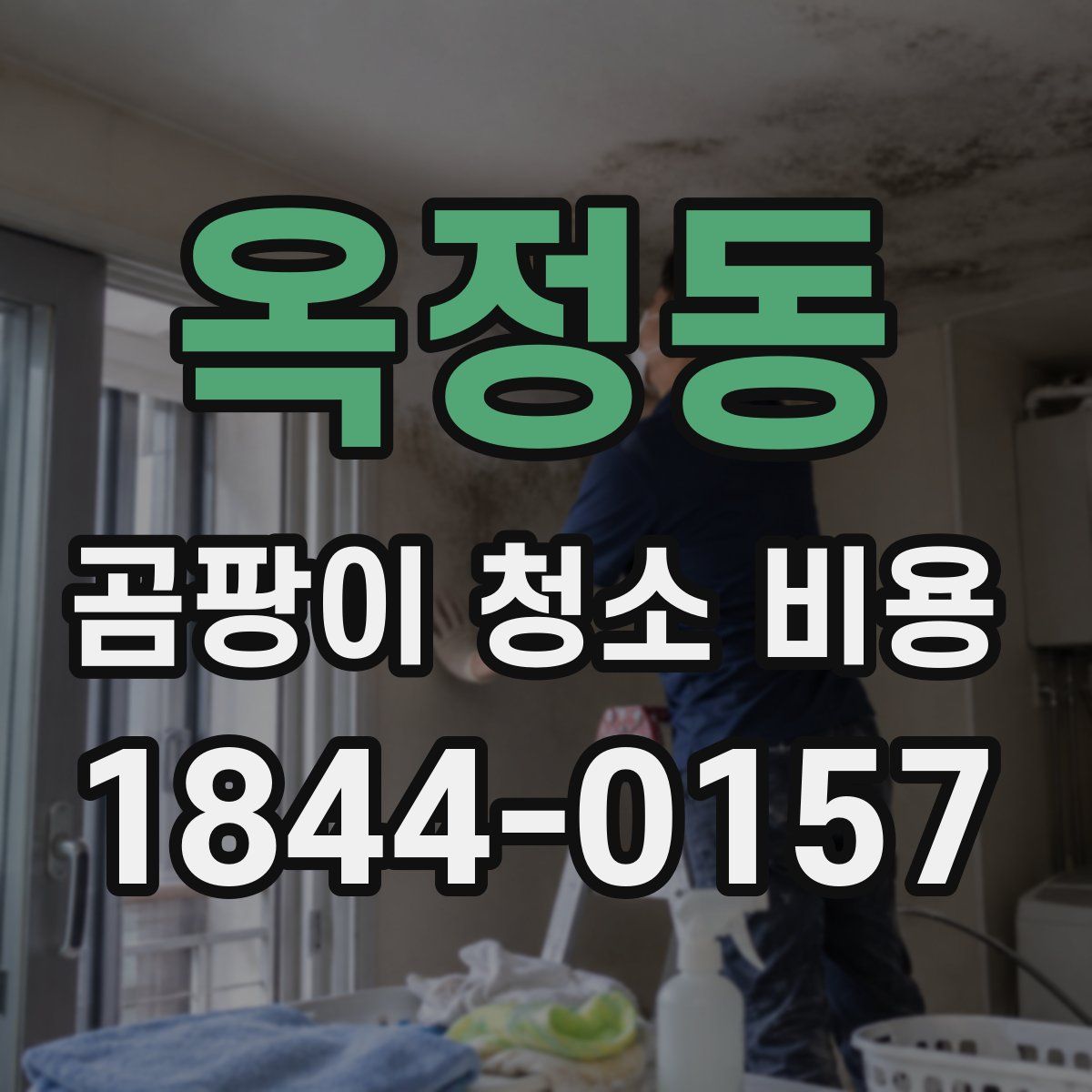 옥정동 곰팡이 청소 비용
