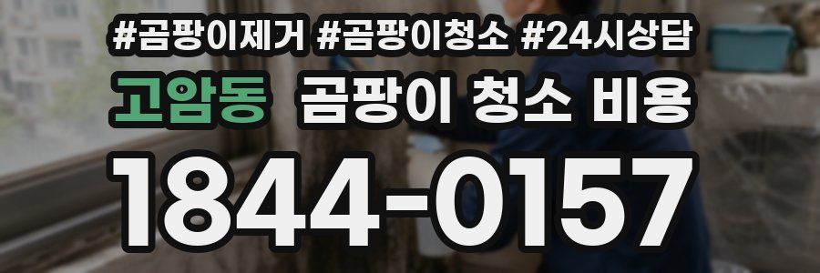 고암동 곰팡이 청소 비용