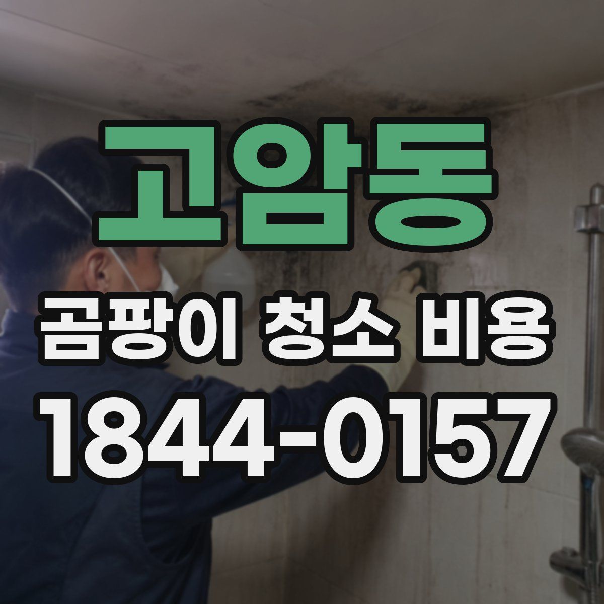 고암동 곰팡이 청소 비용
