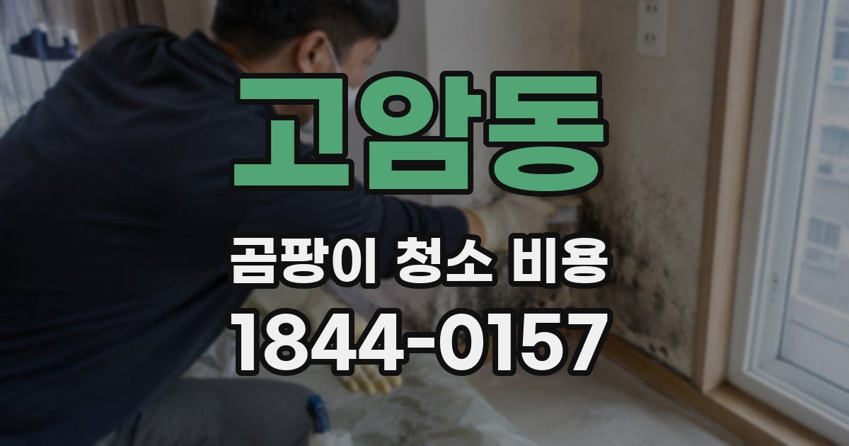 고암동 곰팡이 청소 비용