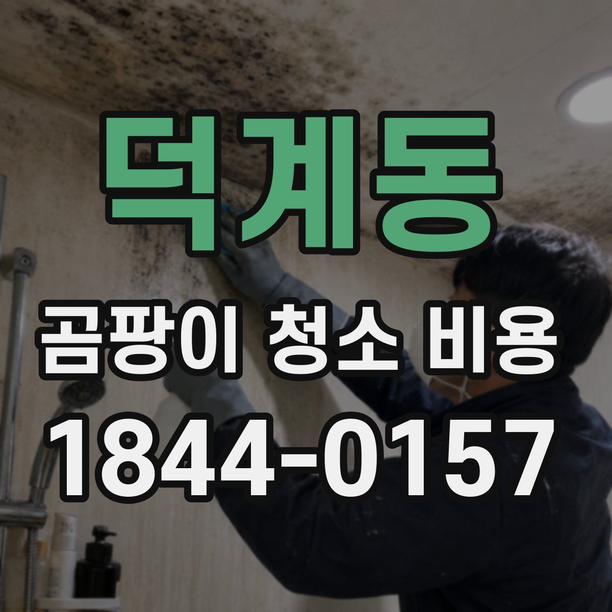덕계동 곰팡이 청소 비용
