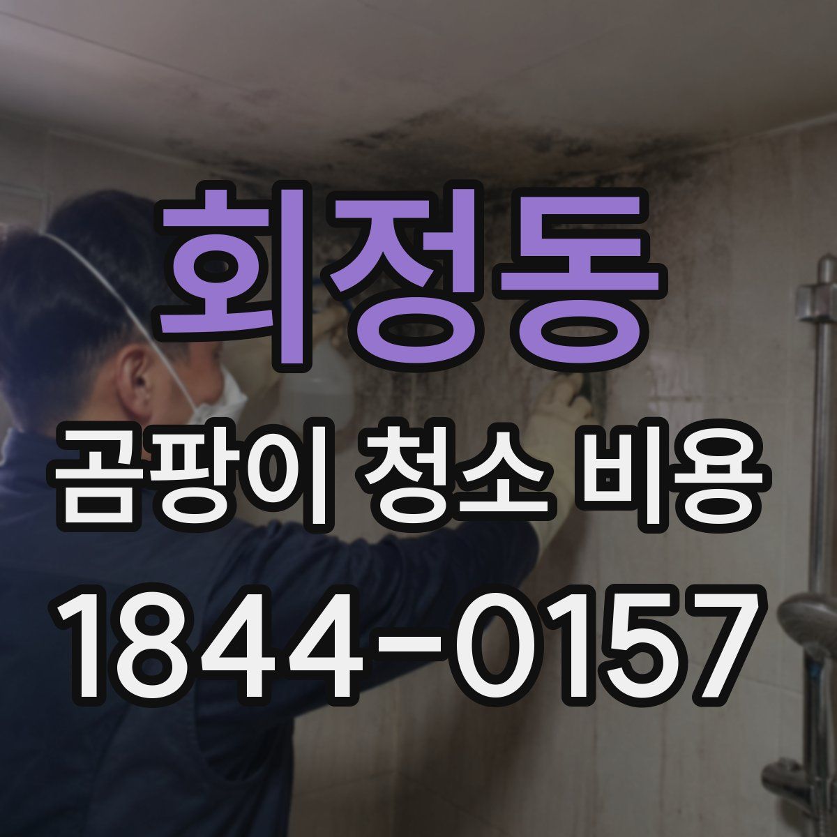 회정동 곰팡이 청소 비용