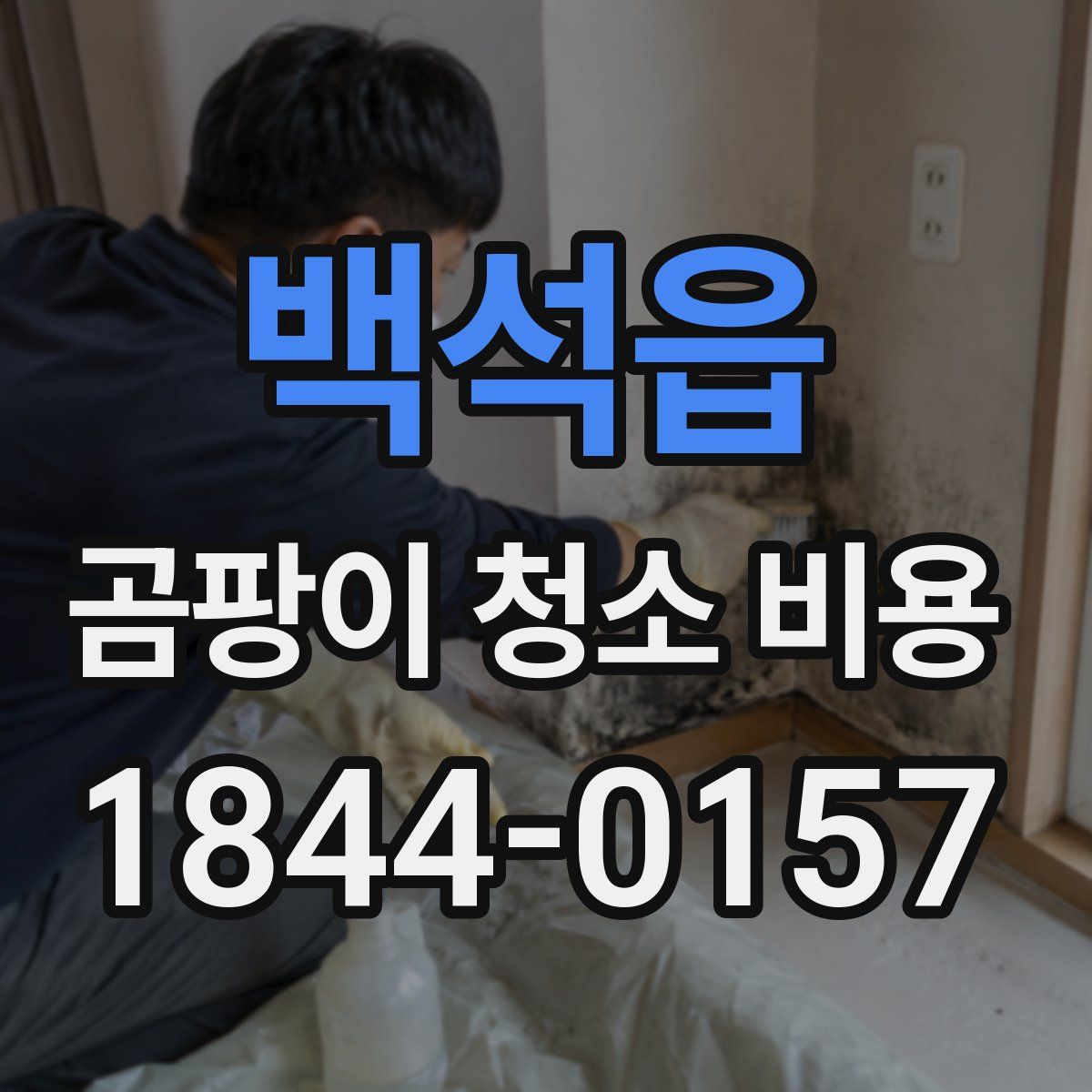 백석읍 곰팡이 청소 비용